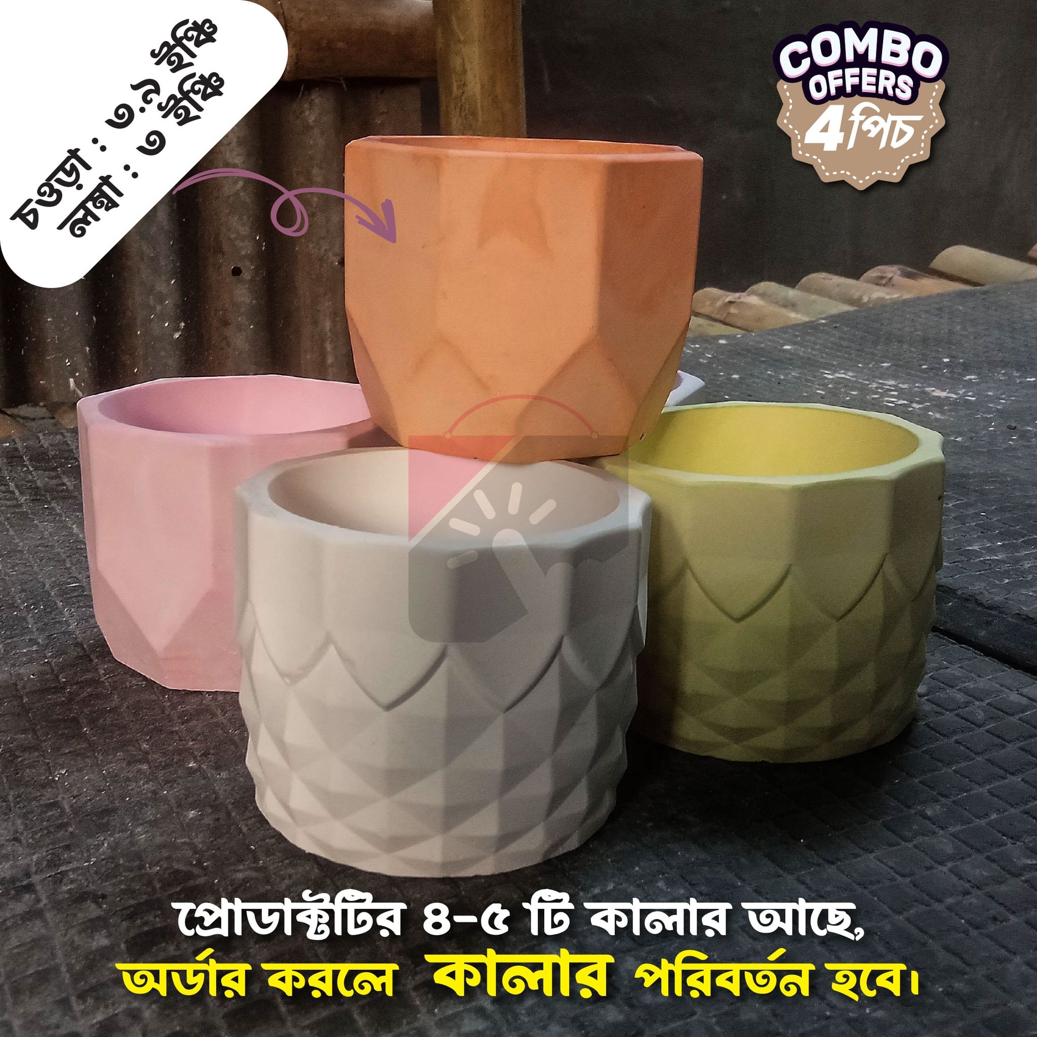 4inch 4Pics Different Design Cactus or Succulent Planter Tub - Image 2