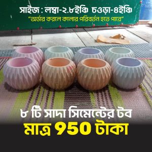 4inch 8Piece Gypsum Cactus or Succulent Planter Tub