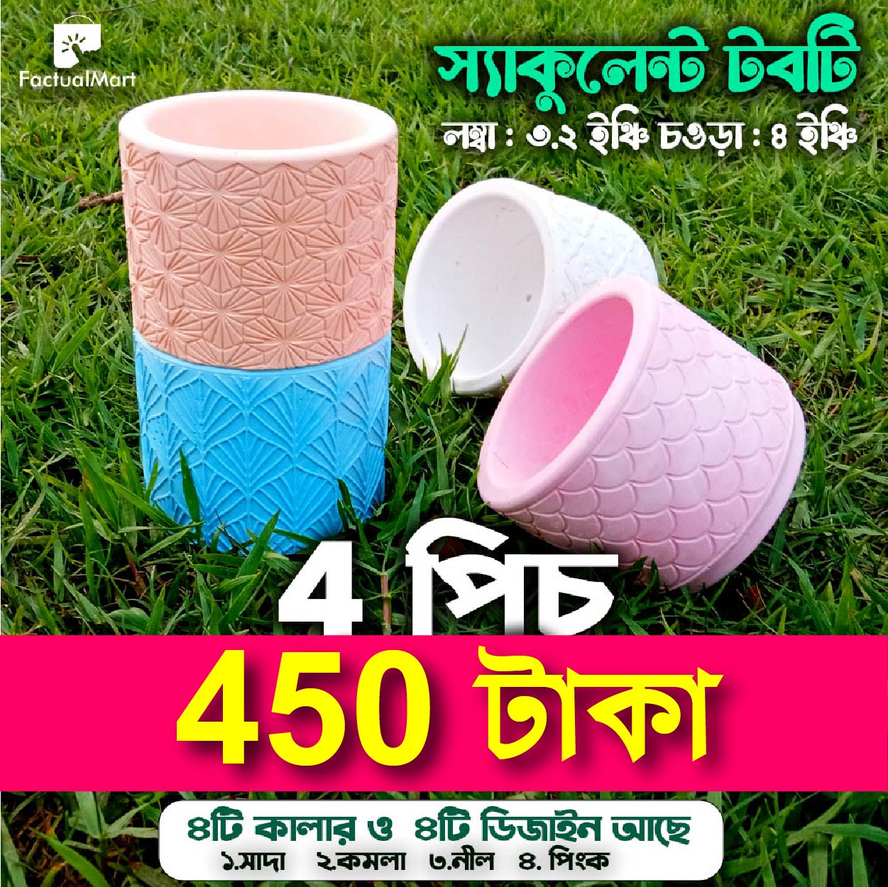 4inch 4Pics Different Shape Cactus or Succulent Planter Tub